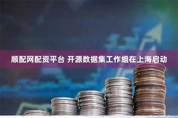 顺配网配资平台 开源数据集工作组在上海启动