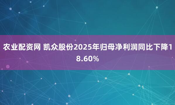 农业配资网 凯众股份2025年归母净利润同比下降18.60%